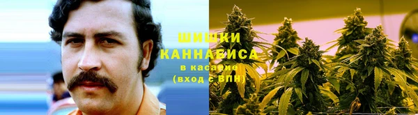тгк Нея
