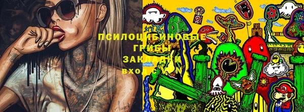 мяу мяу мука Нефтекумск