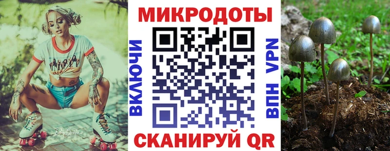 нарко площадка Telegram  Морозовск  Галлюциногенные грибы MAGIC MUSHROOMS 