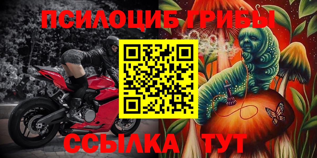 Псилоцибиновые грибы Cubensis  Морозовск 