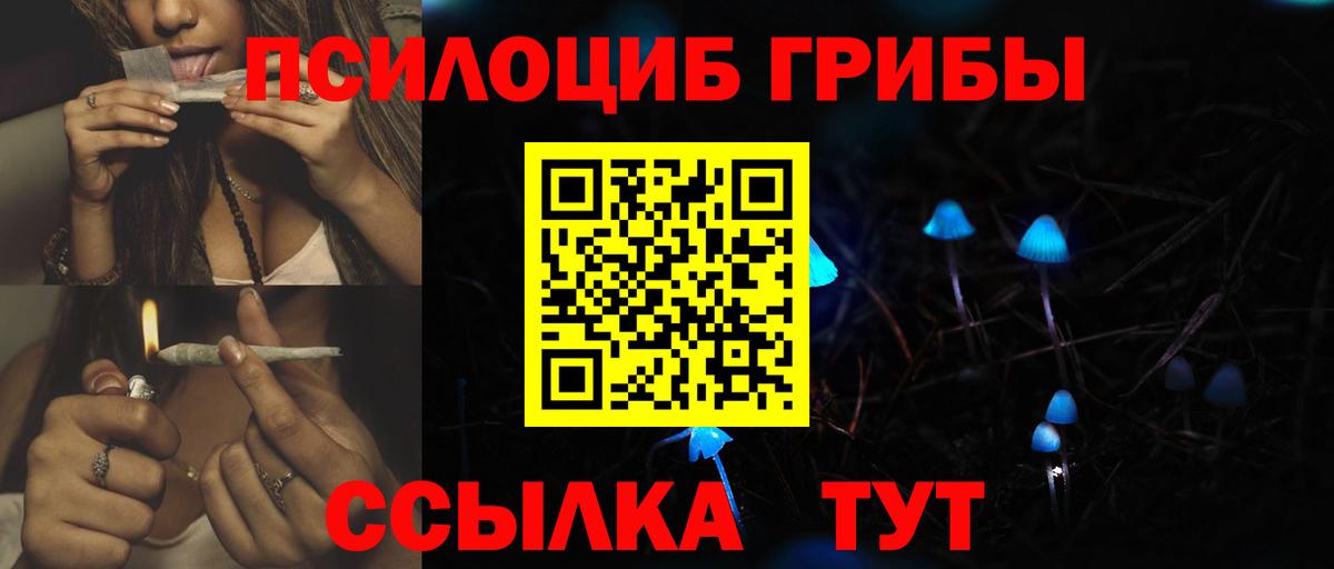 Псилоцибиновые грибы Psilocybe Морозовск